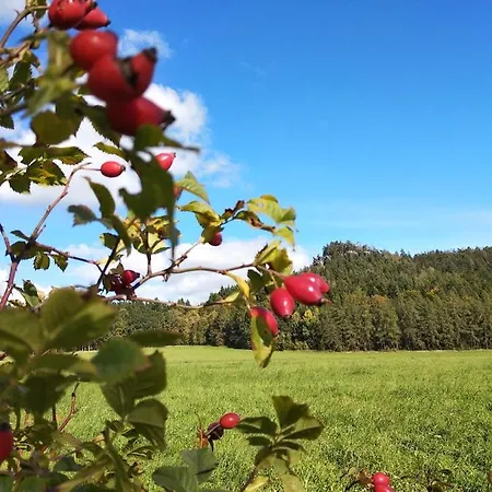 Apartmán U Kozárů